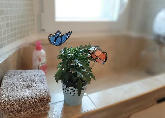 Atelier Tina Art Dubrownik