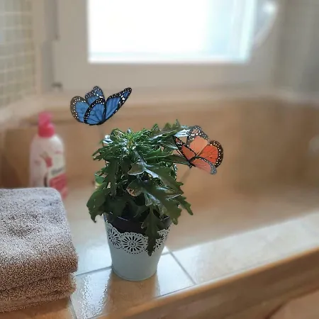 Atelier Tina Art Dubrovnik